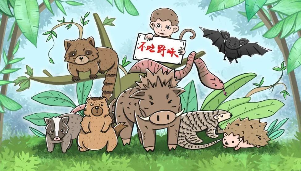 最嚴野生動物“禁食”令,幫你理清哪些能吃哪些不能吃(圖1) 3-200310212419623.jpg